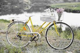 黄色い 自転車