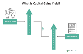 capital gains yield what is it vs