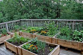 Diy Vegetable Garden Boxes From