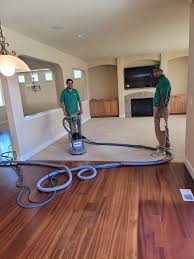 professional carpet cleaning in olympia