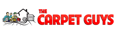 the carpet guys learn all you need to