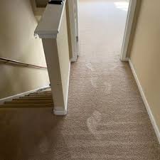complete carpet care updated march