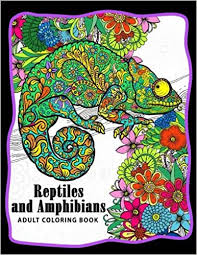 Vector lizard tropical illustration adult coloring stock vector. Amazon Com Reptiles And Amphibians Adult Coloring Books Snake Turtle Lizard Chameleons Crocodile Dinosaur Shink Frog And Friend 9781973794646 Adult Coloring Books Unicorn Coloring Books