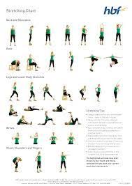 Best Stretch Chart Google Search Workout For Beginners