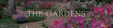 plan your visit bok tower gardens