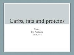 ppt carbs fats and proteins
