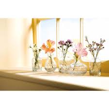 Petite Glass Vases Set Clear Glass Set