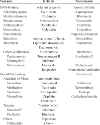 Classification Of Chemotherapy Drugs According To Their