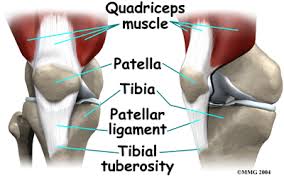 You want to go all in and maximize the workout, putting a lot of pressure on your muscles so that they break down and build back up stronger. Jumper S Knee In Children And Adolescents Orthogate