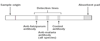 Rdts For Malaria Diagnosis Principle Results And