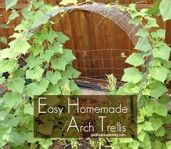 How To Build A Diy Arch Trellis Arch