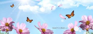 But they can be very useful, not only to wildlife but also as an edible plant. Spring Pink Flowers Butterflies Facebook Cover Nature