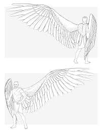 The upper part is shaped as a tear where the most of short feathers are concentrated. How To Draw Angel Wings