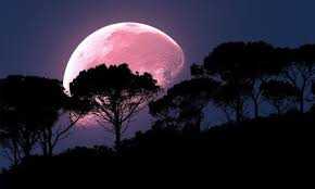 A full moon occurs when the sun in taurus forms an opposition to the moon in scorpio. The Full April Pink Moon Will Be 1st Supermoon Of 2021 Nj Com