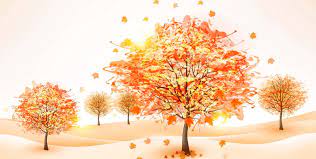 cute fall backgrounds wallpapers
