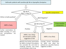 Flowchart For The Interpretation Of Results Of Serum Ige Abs