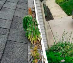 Why Gutter Guards And Screens Fail