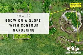 Grow On A Slope With Contour Gardening