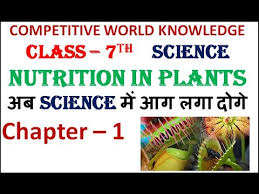 nutrition in plants with notes ह द