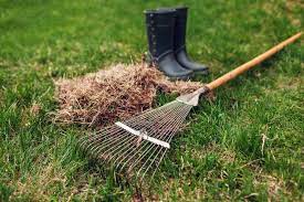 topdressing and dethatching ne lawn care