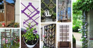 24 Best Diy Garden Trellis Projects