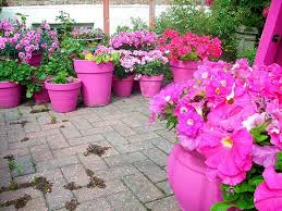 Flower Pots Outdoor Flowers