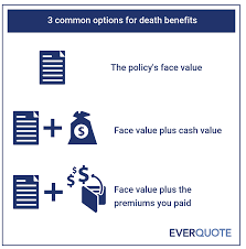 Does term insurance have cash value. How Cash Value Life Insurance Works