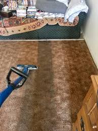 sunrise carpet upholstery cleaning