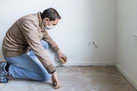 Carpet Odors From Water Damage