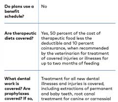 Pet Insurance Comparison Heres How To Know If You Need It