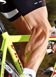 cyclists legs vs runners legs