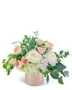 Brilliant and Blush in Haymarket VA - Melanie's Florist