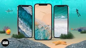 15 Best Iphone Beach Wallpapers In 2022