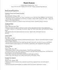 Car Resume Examples Sales Representative Resume Profile Professional