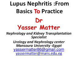 Lupus Nephritis From Basics To Practice