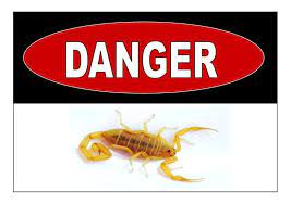 how dangerous are scorpions