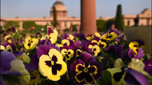 delhi tourism facilitates mughal garden