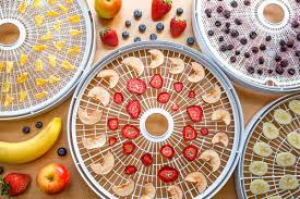 the ultimate guide to dehydrating food