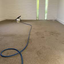 carpet cleaning in buckeye az