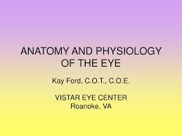 ppt anatomy and physiology of the eye