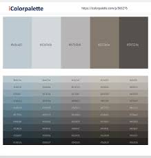 1450 latest color schemes with silver