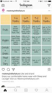 6 Months Baby Food Chart With Recipes 3 Litlestuff