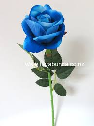 blue single rose long stem florabunda