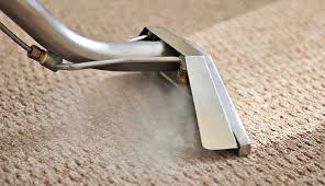 carpet cleaning cleaning service