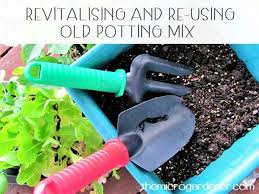 Revitalising Re Using Old Potting Mix