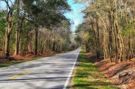 safest places to live in south carolina
