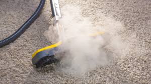how to dry clean your carpets yourself