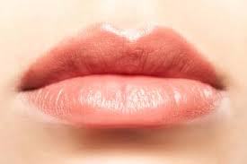 how are lips diffe from other skin