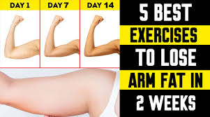 how to lose arm and belly fat in 2