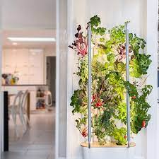 hydroponic indoor tower garden